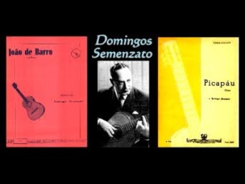 Domingos Semenzato - JOÃO DE BARRO / PICAPÁU (Choro)
