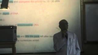 13) Dr.Rasheed 13/04/2014 [DNA : Replication of DNA]