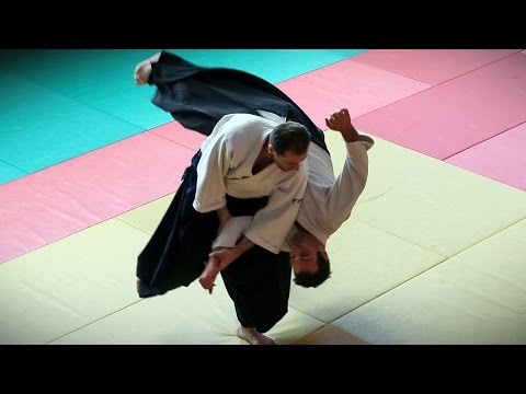 Dynamic Aikido - Guillaume Erard seminar in Bayonne (June 2016)