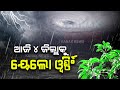 Weather Report: Odisha At Rainfall Receiving End At Various Parts