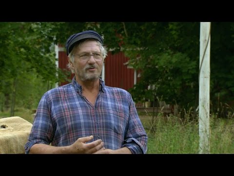 Gutta: "Ni har faktiskt varit jätteduktiga" - Farmen (TV4)