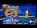Eyewitness News Super Cat Saturday July 15 2023 Featuring Brittany Bell