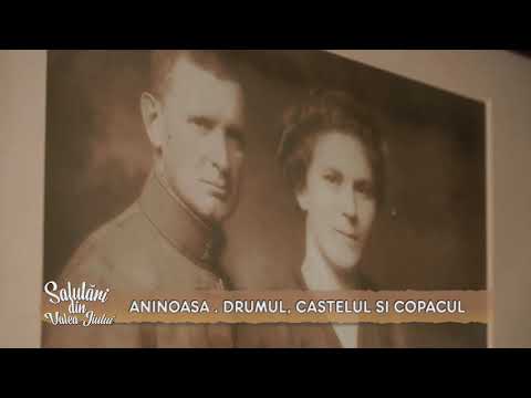 Salutări din Valea Jiului  |  Aninoasa  Drumul, castelul si copacul
