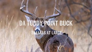 Bananas at large - Da turdy point buck (Lyrics) 