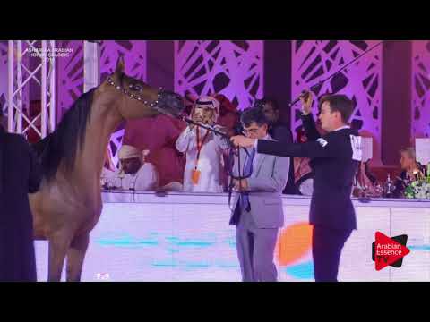 N.144 JOHART AL ULIA - Asharqia Classic 2018