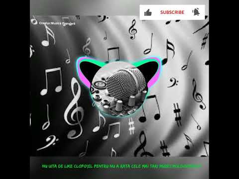 Merg prin ploaie și prin vânt🇲🇩🌧️-Muzică Moldovenească🇲🇩😍