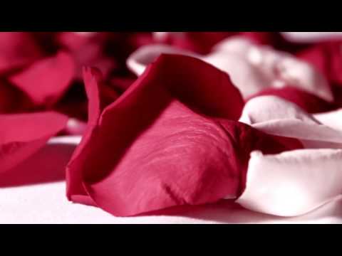 Download Video Background Wedding Mp3 dan Mp4 Teranyar Gratis