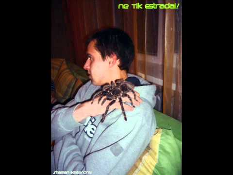 Shamanas - Ne Tik Estradai