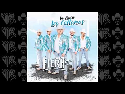 La Fiera de Ojinaga - Huapango el Rezado 💃🕺 2018