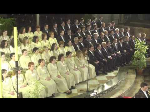 Video 50 aniversario Capella Mallorquina