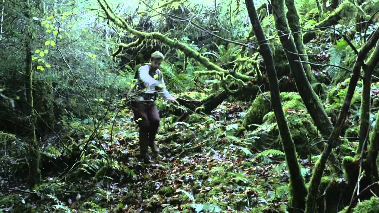 The Dragons of Camelot