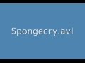 Spongecry Avi Sbmania Creepypasta Reading