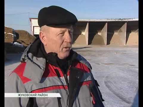 Excursion to Miratorg 08 12 16