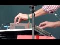 Album Leaf: Broken Arrow au Primavera Sound Festival 2011
