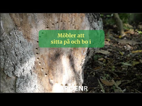 Furniture to sit on and live in - Gardenhacks by GardenR