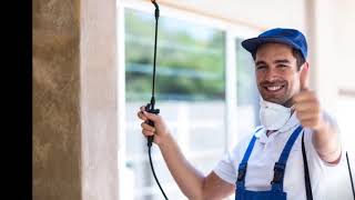 Pest Inspection Perth