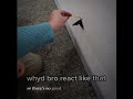 Butterfly Lands On Kid Crotch And He Freaks Out