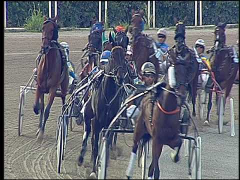 Trotto 23/09/2016 - 4ª corsa