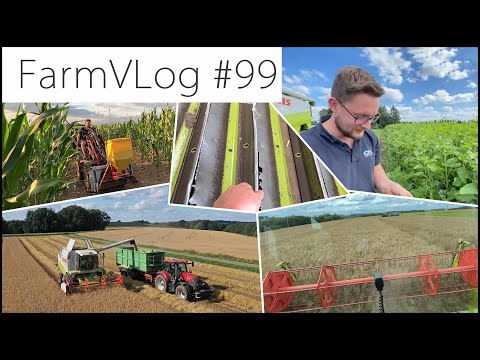 FarmVLOG#99: Es gab Bruch am LEXION / DINKEL & RAPS ERNTE 2021 / Blühflächen Eskalation