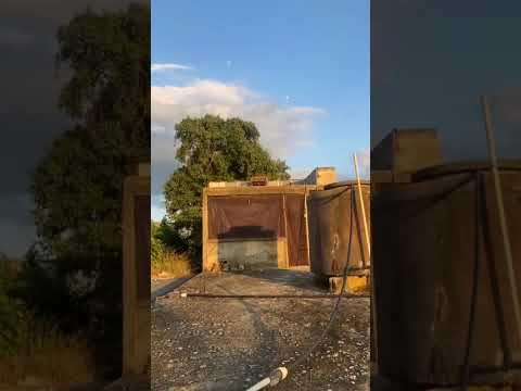 La rifa del la cogio el Champion el palomo de mateo