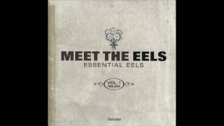 Eels - Climbing To The Moon (Jon Brion Remix)