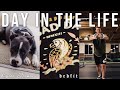 Day In The Life | Dog Sitting | DedFit Release | Chest Workout