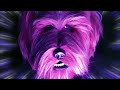 E4 Doghead Ident 2014