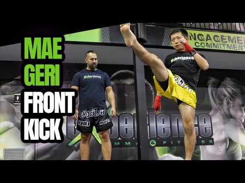 MAE-GERI | The Front Kick