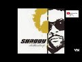 Shaggy - Stand Up.