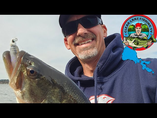 Judge.me YouTube video placeholder