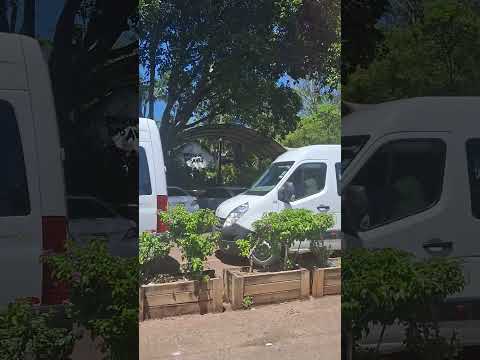 Foz do Iguaçu-PR, Parque das Aves.