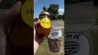Love finding country campgrounds with a side hustle #campground #sidehustle