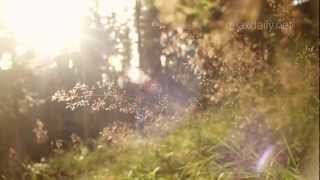 Slow, Calm and Peaceful Instrumental Music - smooth piano and guitar - relaxdaily N°055