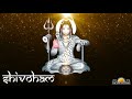 Experience The Pure And All Pervading Consciousness That Is Shiva