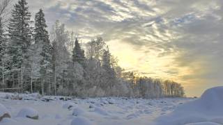 It&#39;s Now Winter&#39;s Day - Tommy Roe