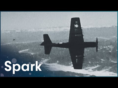 image-What is dark navy called?