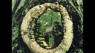 Toccata Mannheim Steamroller 1979 LP