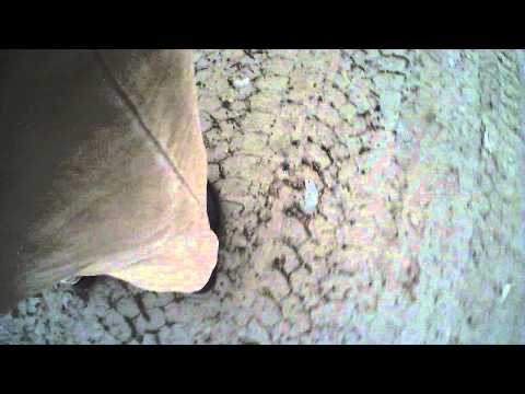 Sonda din Moftinu Mare, judeţul Satu Mare