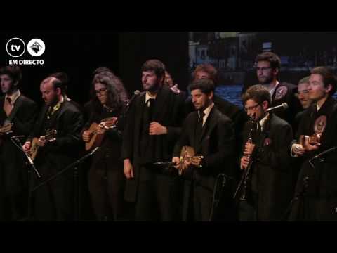 Tuna de Farmácia do Porto - Tierra del Olvido