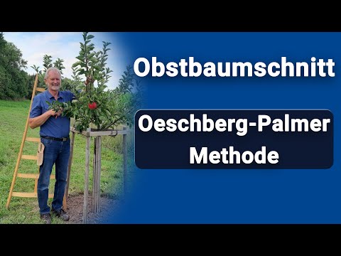 Obstbaumschnitt nach der Oeschberg-Palmer Methode [Anleitung]