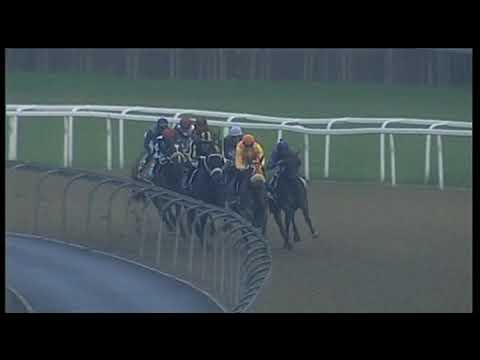 20190125 Greyville Express Clip Race 3 won by HAYLOR