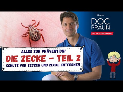 Schutz vor Zecken und Entfernung von Zecken – Die Zecke Teil 2