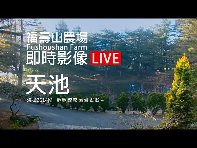福壽山農場即時影像【天池景觀步道】