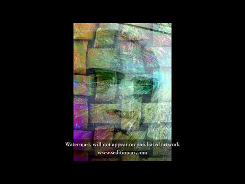 Visual Artist Frank Bonilla, Video For Your Devices from Sedition ART