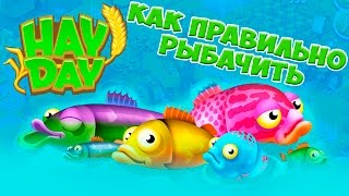 Рыбалка хай дей зоны найти номера зон