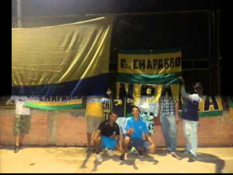 Leopardo campeon - N.P.A.