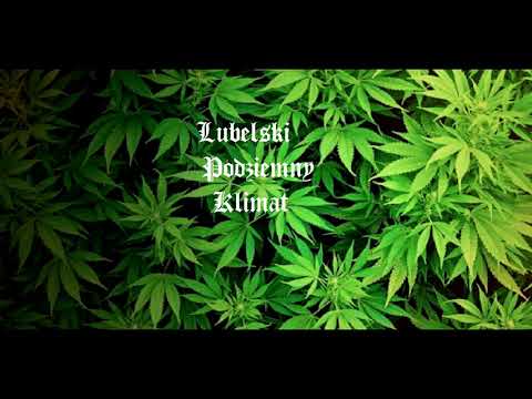 Hubercik LPK, Sosna - Lubelski Podziemny Klimat