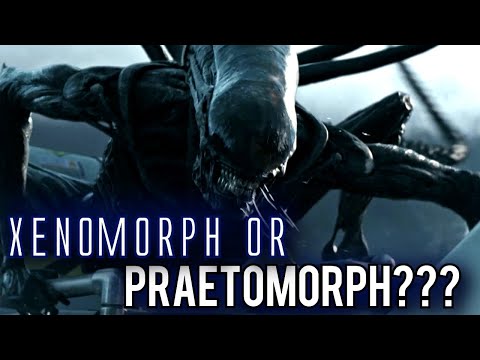 Praetomorph Explored / Alien Covenant Xenomorph