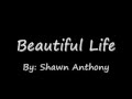 Beautiful Life - Shawn Anthony 