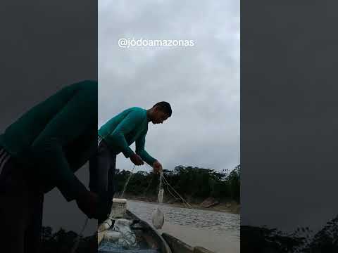 pescando no Rio juruá #filmagens #pescaria